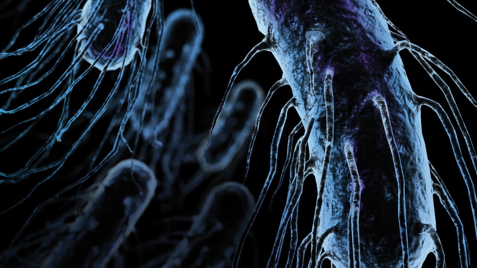 Легіонела Легіонела